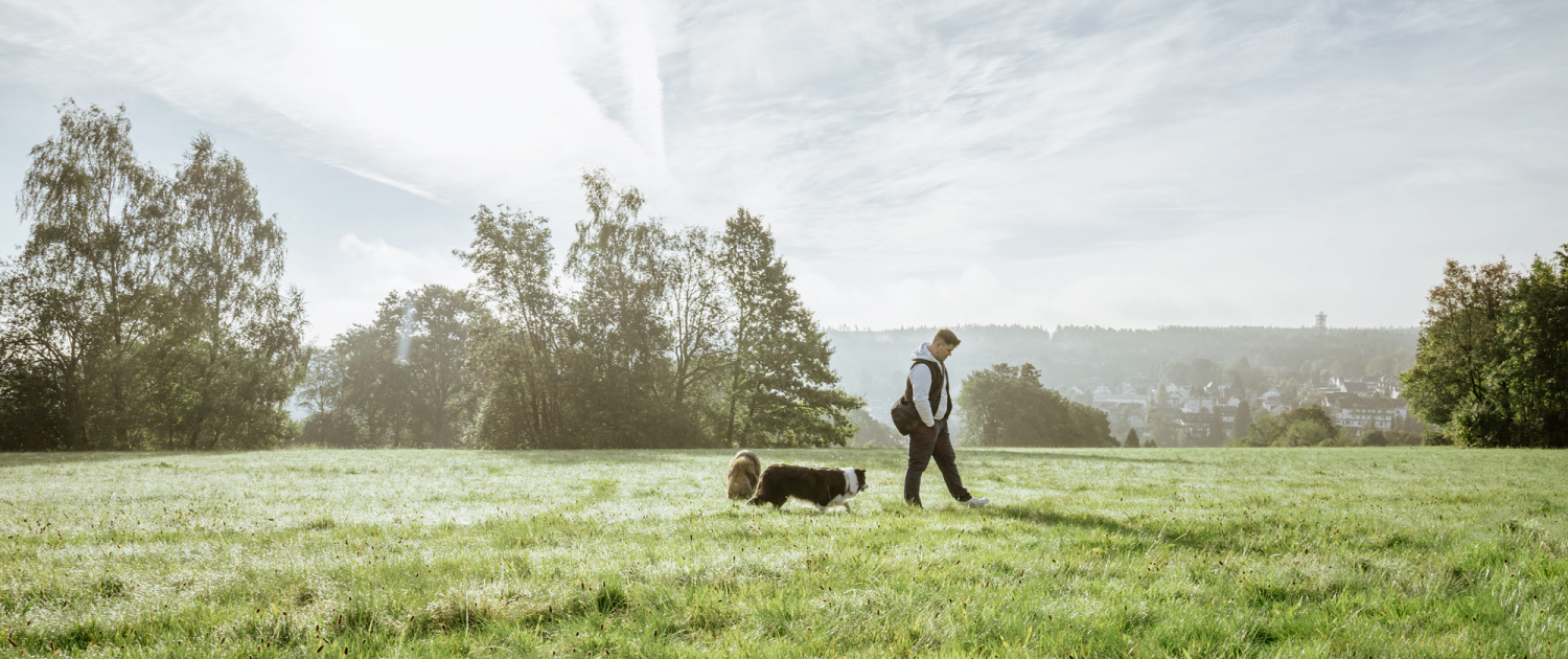 startbild-baustelle-3